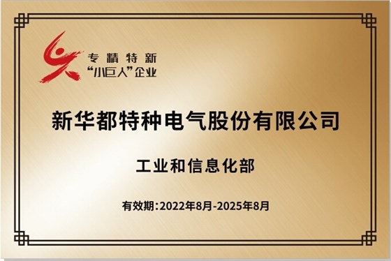 国家小巨人证书-新华都